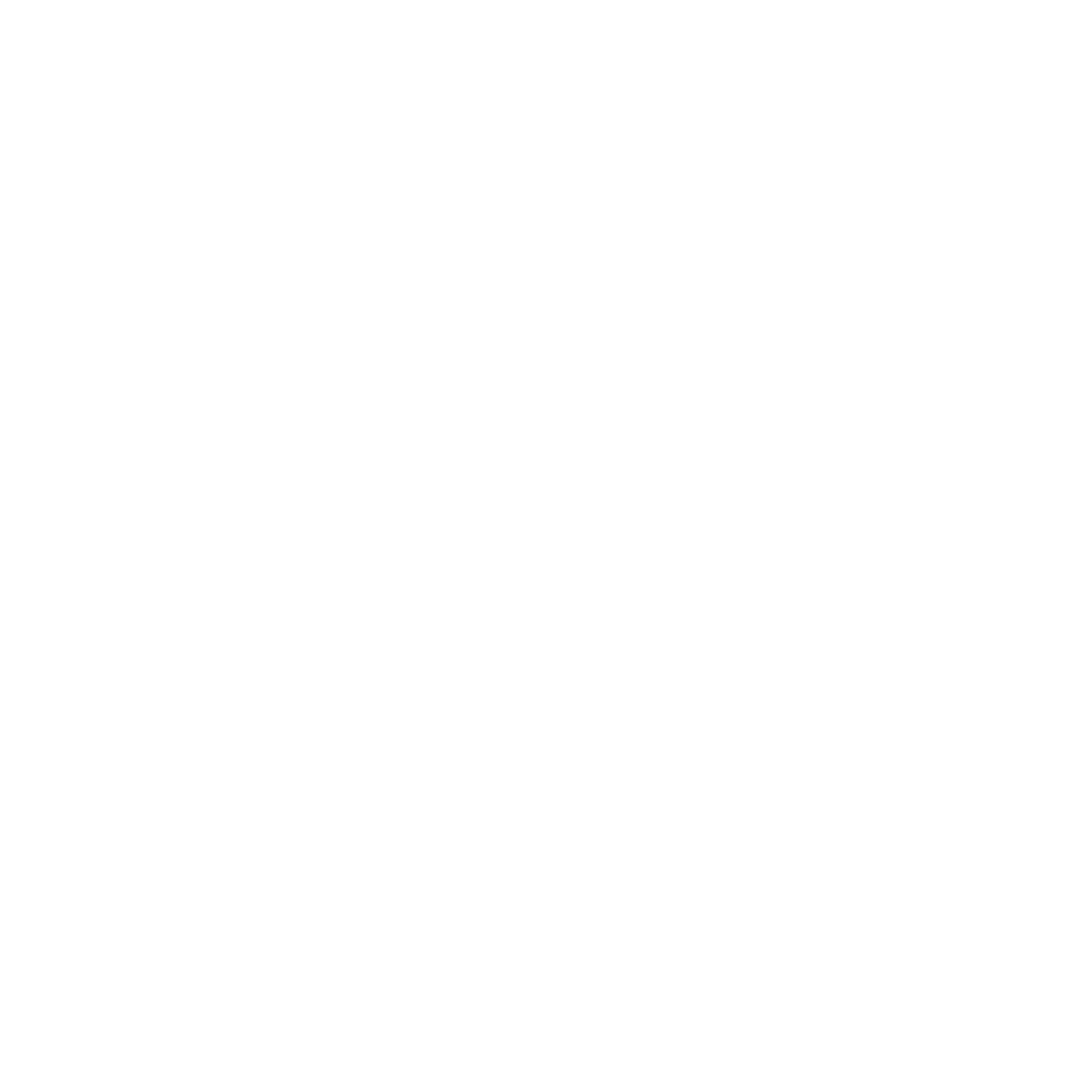 logo Veritas